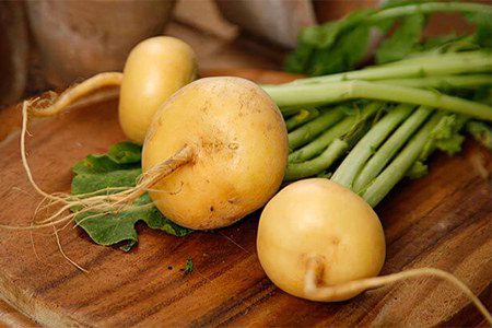 Turnip: benefits and harms, cooking