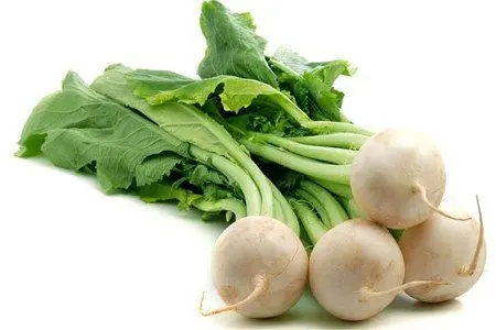 Turnip: benefits and harms, cooking