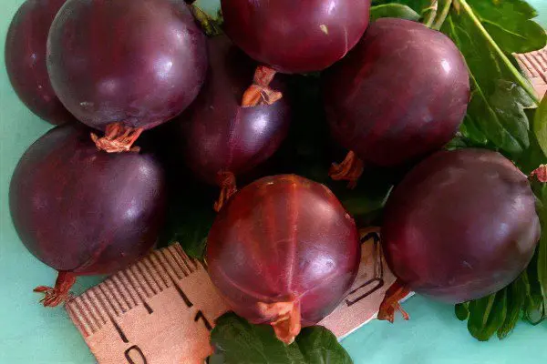 Types of gooseberries