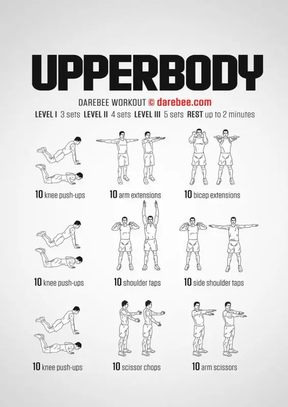 Upper body workouts