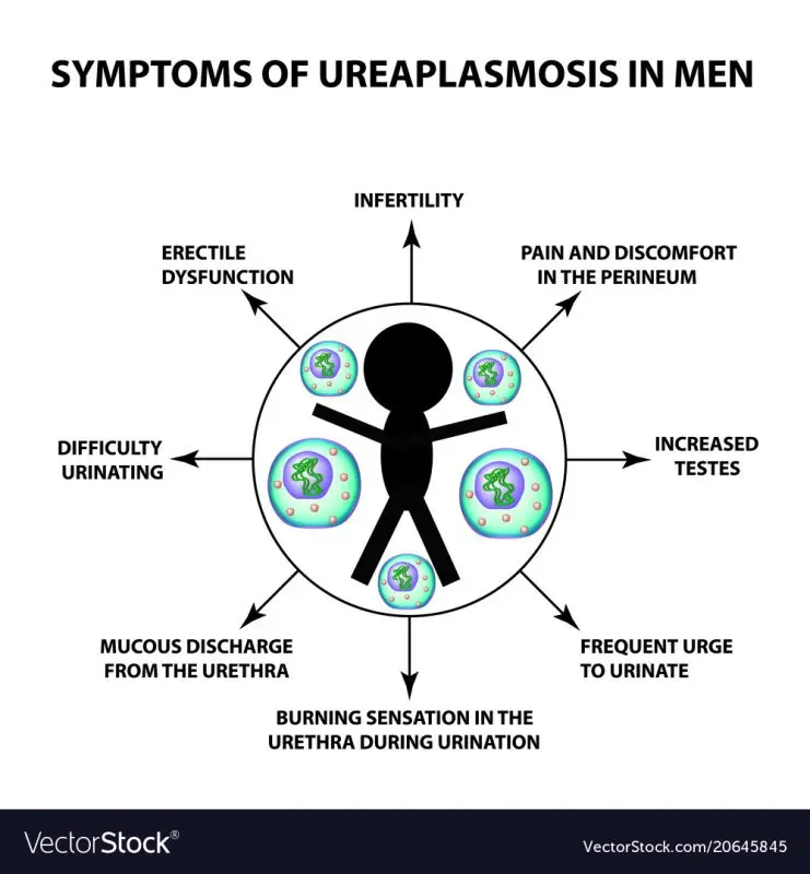 Ureaplasma in men