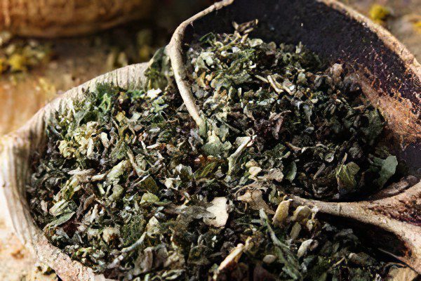 Useful and medicinal properties of oregano