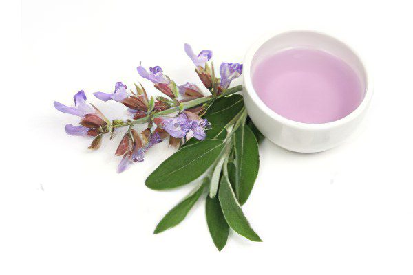 Useful properties and application of sage officinalis