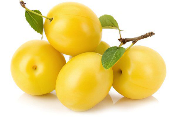 Useful properties and harm of cherry plum