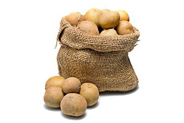 Useful properties and harm of potatoes