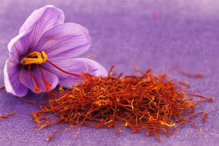 Useful properties of saffron and its contraindications