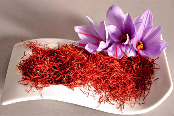 Useful properties of saffron and its contraindications