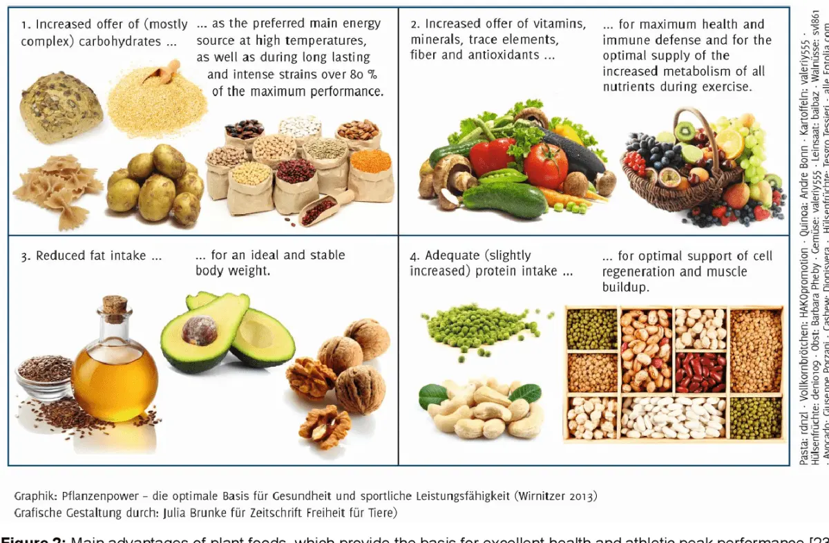 Vegetarianism and sports &#8211; nutrition during training