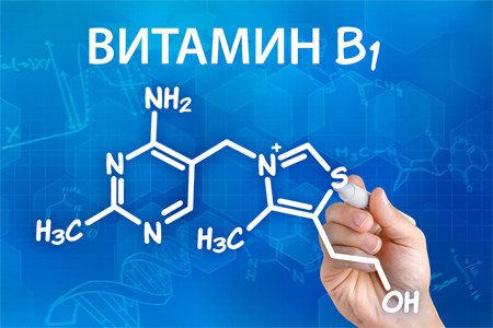 Vitamin B1 - what is it for, what foods does it contain, what does a deficiency lead to