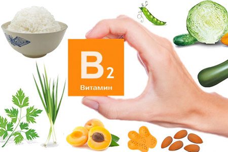 Vitamin B2: impact on health, + TOP record-breaking products