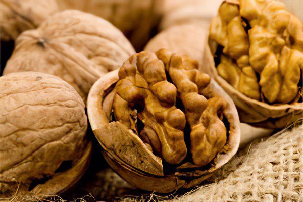 Walnut: benefits for men and women, recipes