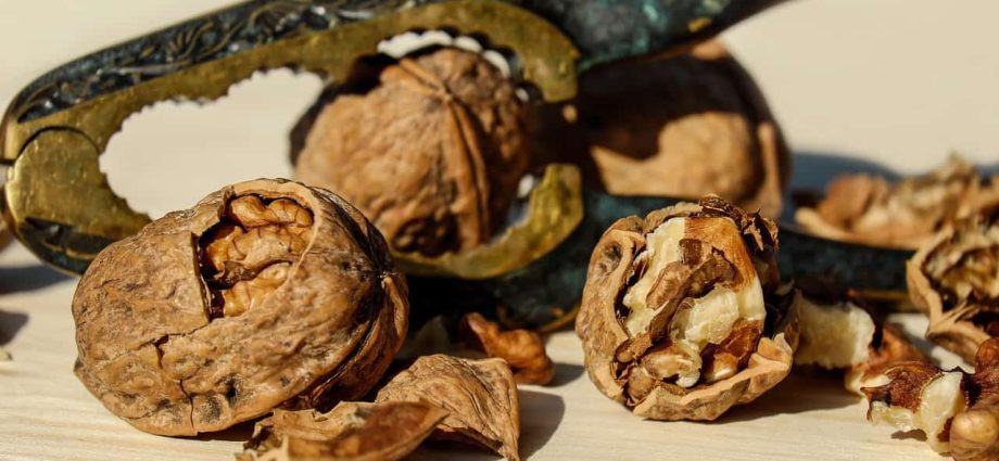 Walnuts with honey for prostatitis