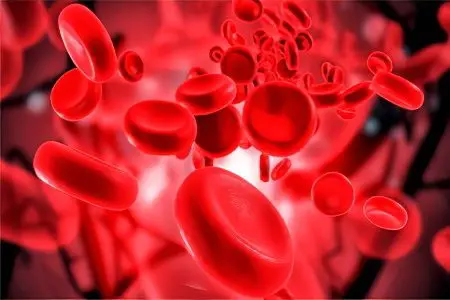 What are the types of anemia and how do they differ?