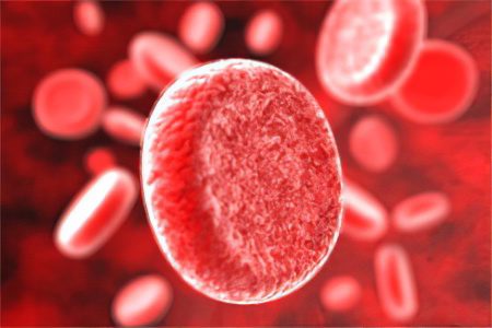 What are the types of anemia and how do they differ?