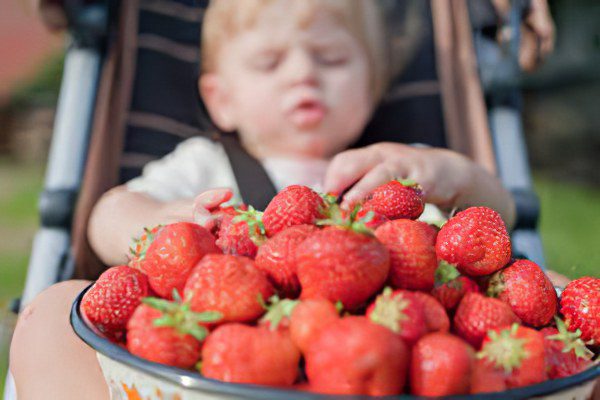 What are useful and harmful strawberries?