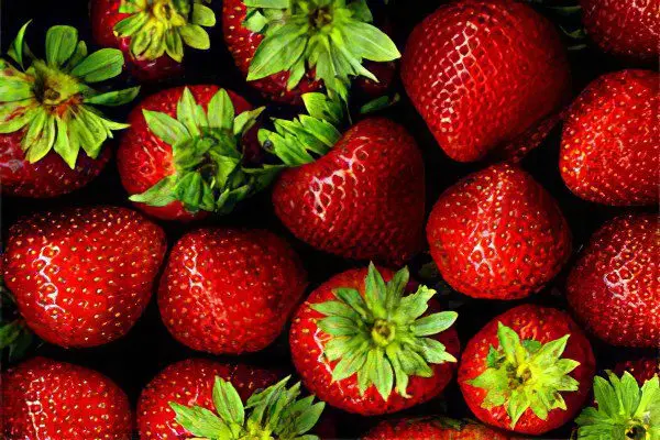 What are useful and harmful strawberries?