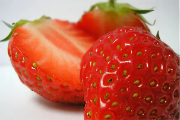 What are useful and harmful strawberries?