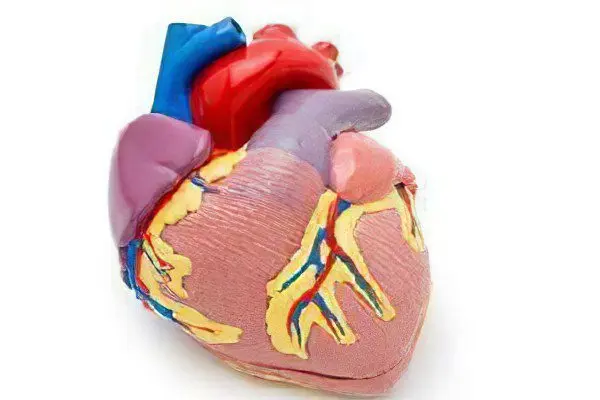 What can and cannot be eaten with ischemia?