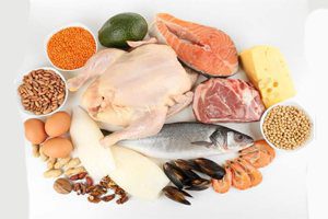 What can you eat on a protein diet?