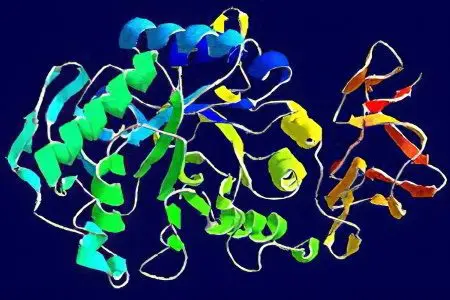 What is alpha amylase (pancreatic)?