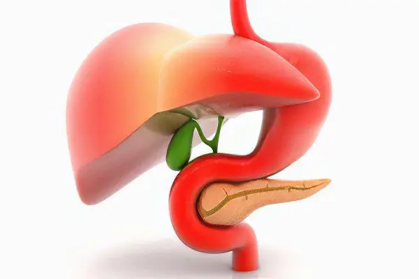 What is alpha amylase (pancreatic)?