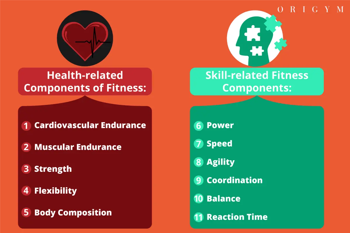 What is fitness testing?