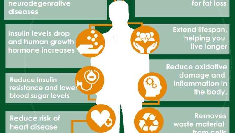 What is intermittent fasting and why is it needed? Benefit and harm