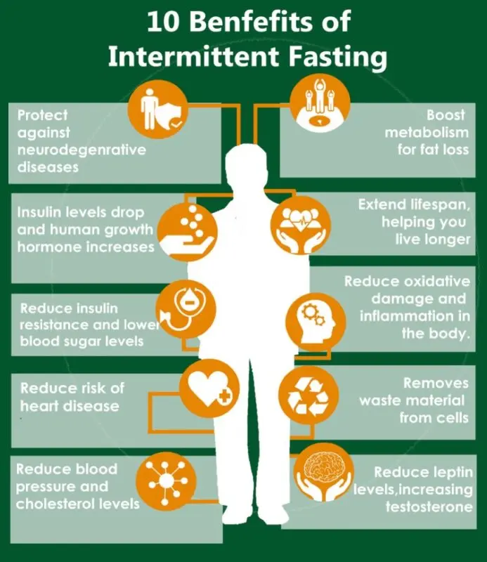 What is intermittent fasting and why is it needed? Benefit and harm