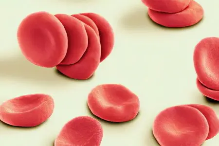 What tests should be done for anemia?