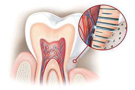 What to do with increased tooth sensitivity?