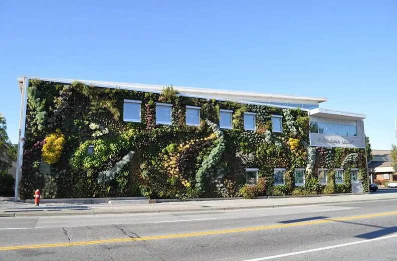 Who are urban gardeners and why do we need living walls