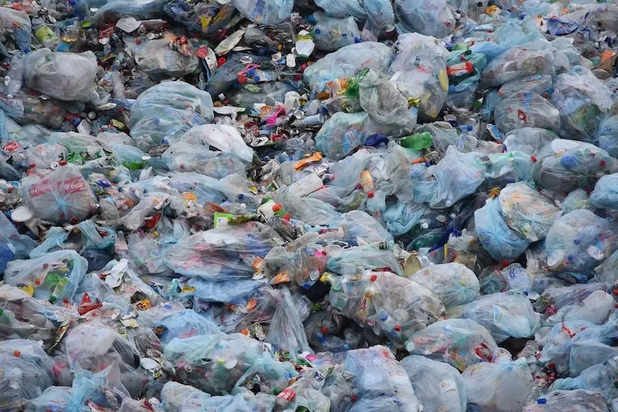 Why Biodegradable Bags Are Accelerating the Pollution Process of the Planet