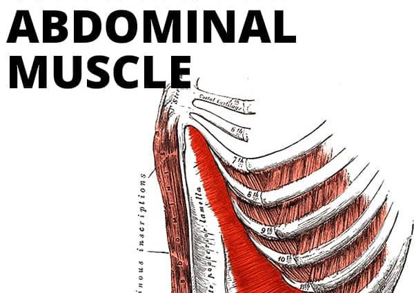 Workouts for the muscles of the back and abdomen (ABS)