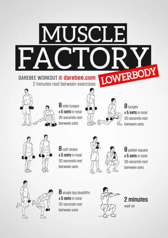 Workouts for the muscles of the whole body (Owerbody)