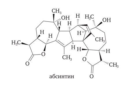 Wormwood: useful and medicinal properties, application