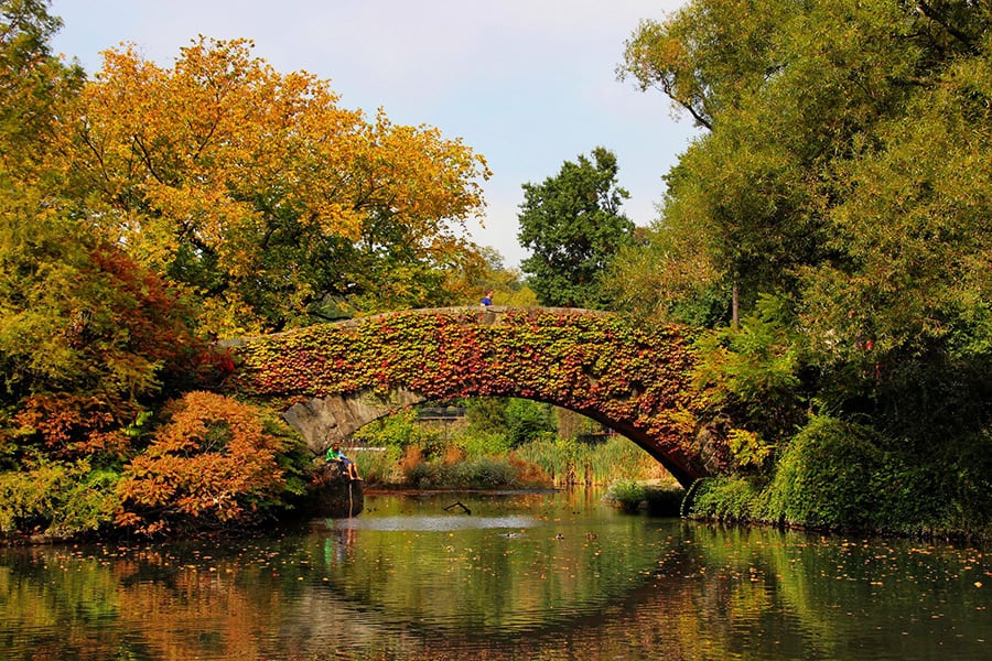 10 amazing bridges where nature and time are frozen