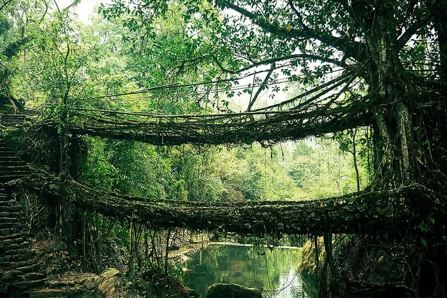 10 amazing bridges where nature and time are frozen