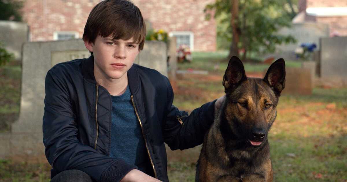 10 Animal-Human Friendship Movies Similar to A Dogs Life