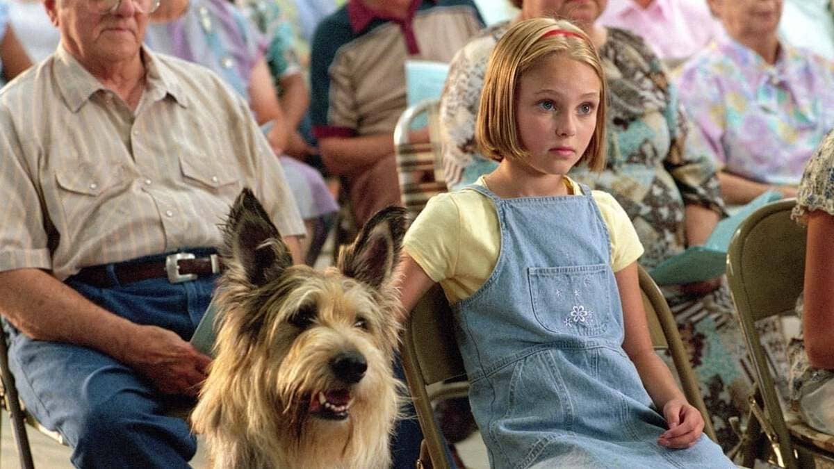 10 Animal-Human Friendship Movies Similar to A Dogs Life