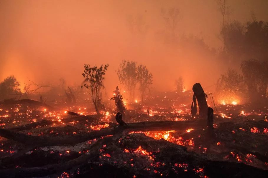 10 biggest fires that happened in the world