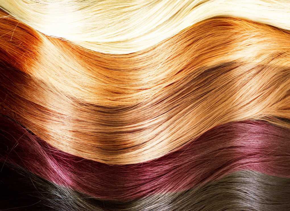 10 common hair myths