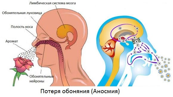 10 Facts About Alzheimers Disease