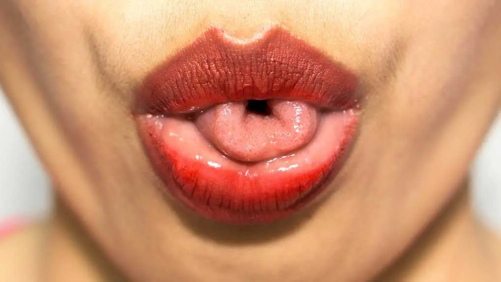 10 false facts about the human body