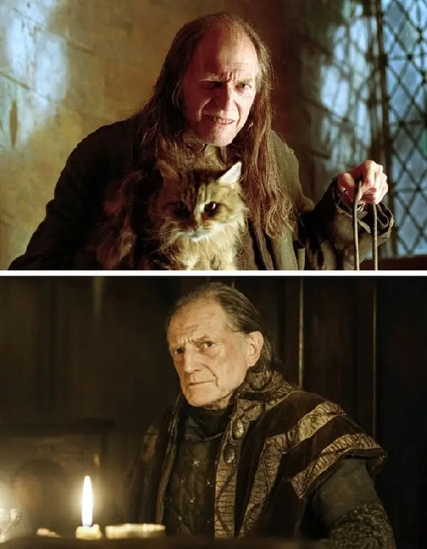 10 Harry Potter actors who starred in Game of Thrones