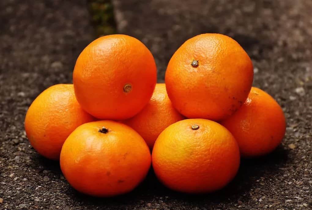 10 Healthiest Winter Fruits