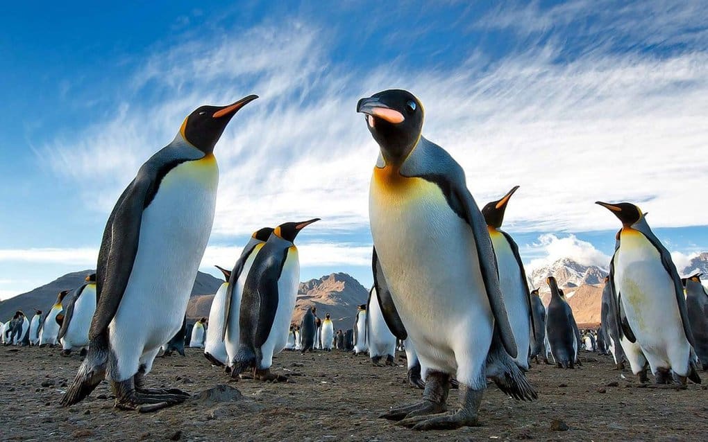 10 interesting facts about Antarctica