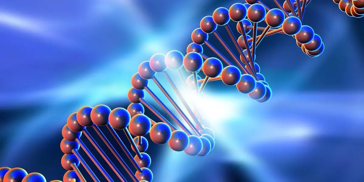 10 interesting facts about DNA and its importance in human life