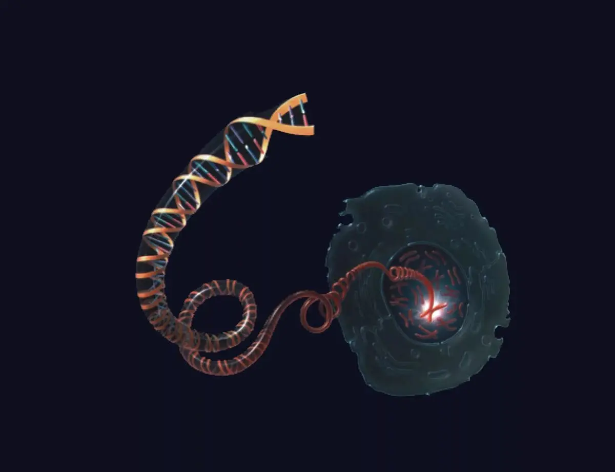 10 interesting facts about DNA and its importance in human life