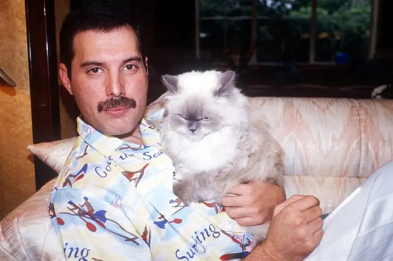 10 Interesting Facts About Freddie Mercury