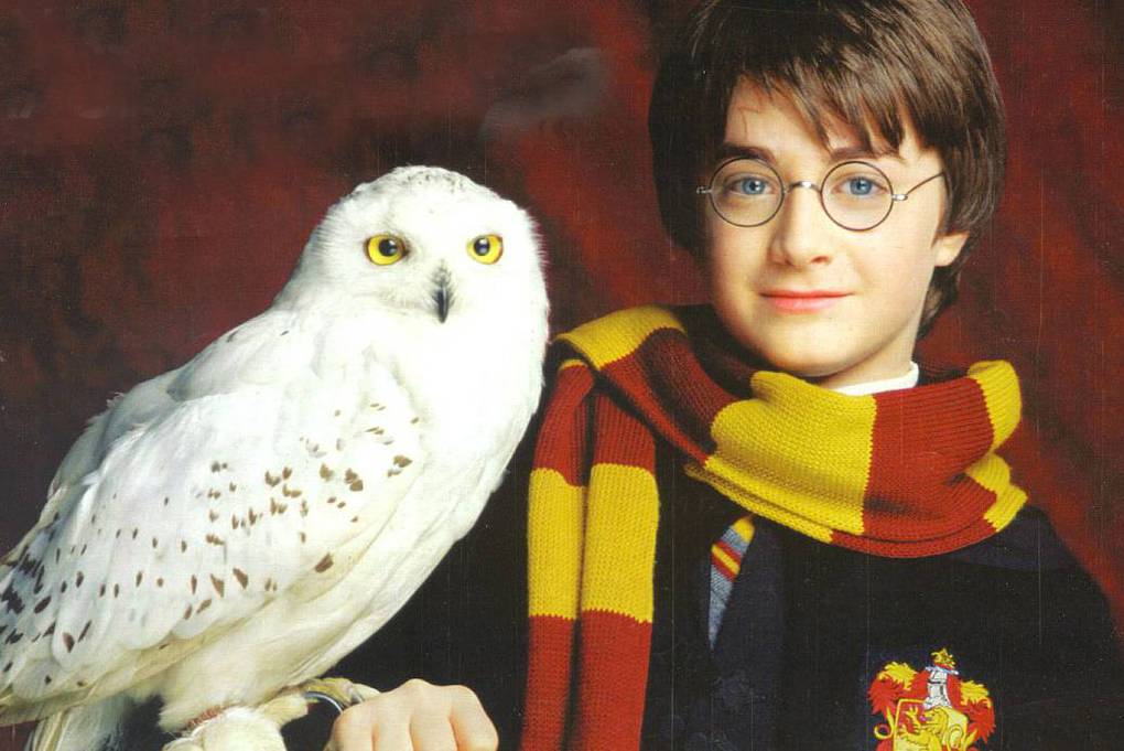 10 interesting facts about Harry Potter, left behind the scenes and the book